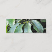 Blätter im Garten Mini Visitenkarte (Rückseite)