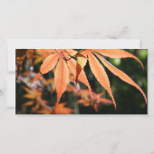 Blätter im Herbst Beileid Vielen Dank für Ihre Fot Dankeskarte (Rückseite)