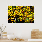 Blätter im Herbst Poster (Küche)