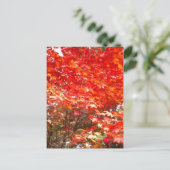 Blätter im Herbst, Sapporo Postkarte (Stehend Vorderseite)