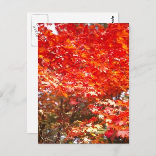 Blätter im Herbst, Sapporo Postkarte (Vorne/Hinten)