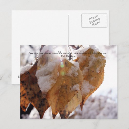 Blätter im Herbst vor Herbst Postkarte (Vorne/Hinten)