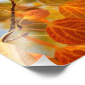 Blätter in Orange Fotodruck (Ecke)