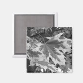 Blätter in Schwarz und Weiß Magnet (Vorderseite/Rückseite)