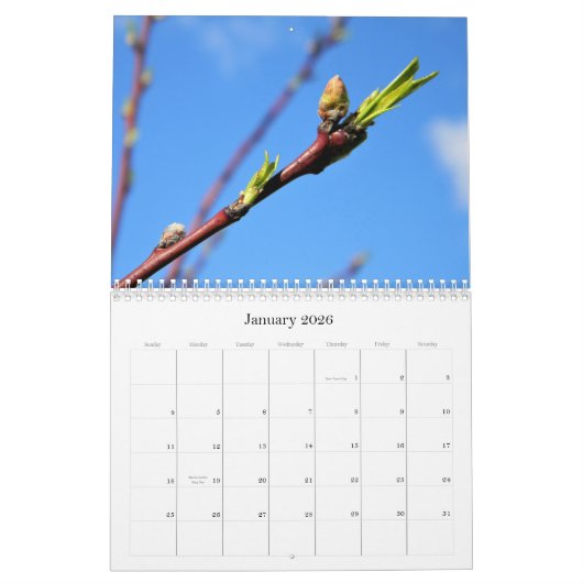 Blätter! Kalender (Jan 2026)