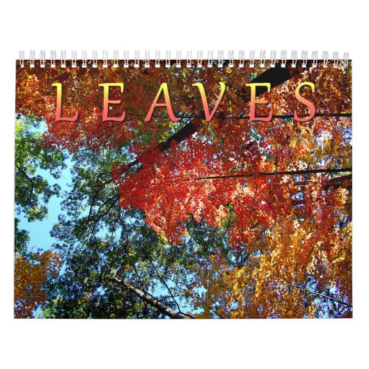 Blätter-Kalender Kalender (Titelbild)