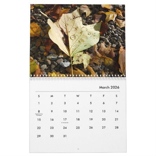 Blätter-Kalender Kalender (Mär 2026)