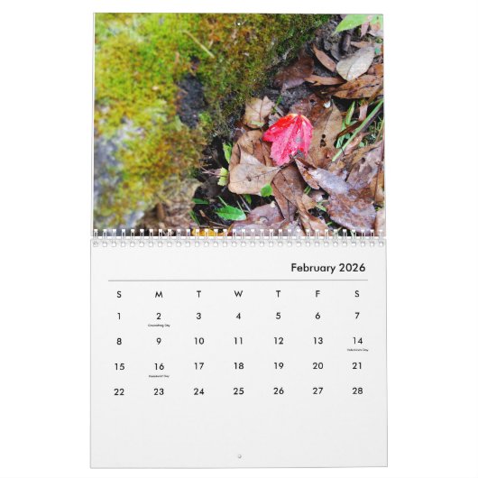 Blätter-Kalender Kalender (Feb 2026)