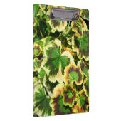 Blätter Klemmbrett (Rechts)