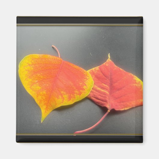 Blätter Magnet (Vorne)