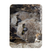 Blätter Magnet (Vertikal)