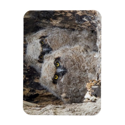 Blätter Magnet (Vertikal)