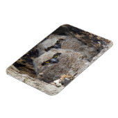 Blätter Magnet (Linke Seite)