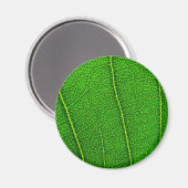 Blätter Magnet (Vorderseite/Rückseite)