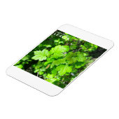 Blätter Magnet (Linke Seite)