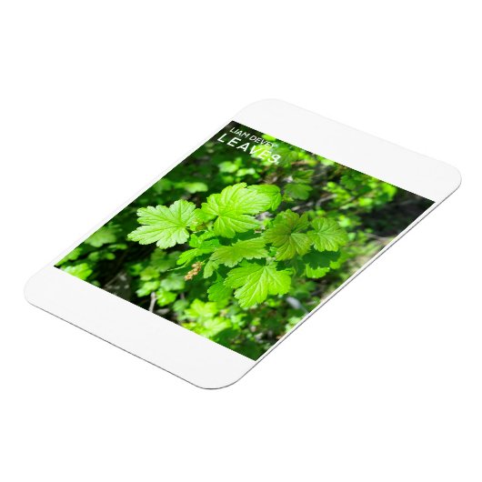 Blätter Magnet (Linke Seite)