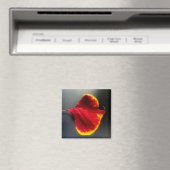 Blätter Magnet (In Situ (Geschirrspüler))