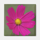 Blätter Magnet (Vorne)