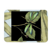 Blätter mit Dragonfly Inset von Jennifer Goldberge Magnet (Horizontal)