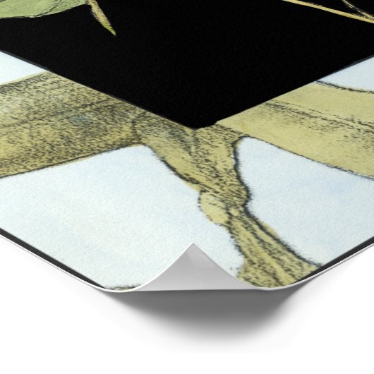 Blätter mit Dragonfly Inset von Jennifer Goldberge Poster (Ecke)