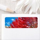 Blätter mit hellen Roten Bäumen im Herbst (Insitu)