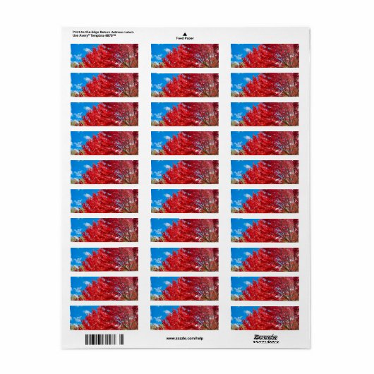 Blätter mit hellen Roten Bäumen im Herbst (Vorne)