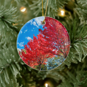 Blätter mit hellen Roten Bäumen im Herbst Keramik Ornament