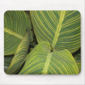 Blätter Mousepad (Vorne)