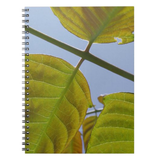 Blätter-Notebook Notizblock (Vorderseite)