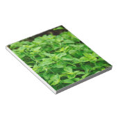 Blätter Notizblock (angewinkelt)