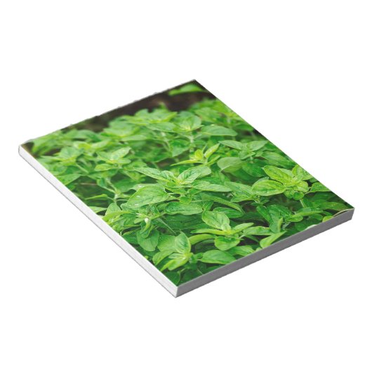 Blätter Notizblock (angewinkelt)