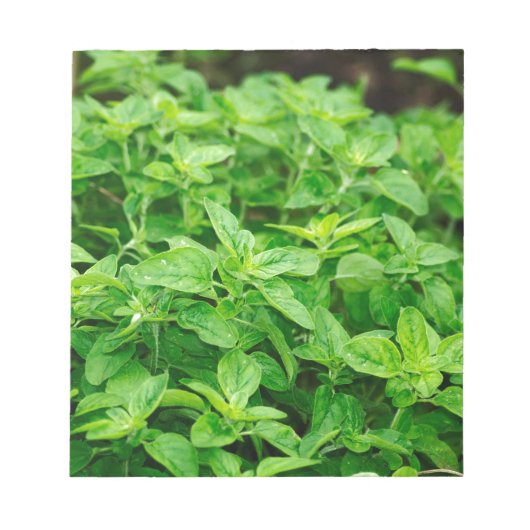 Blätter Notizblock (Vorderseite)