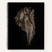 Blätter Nr. 8 Farbversion