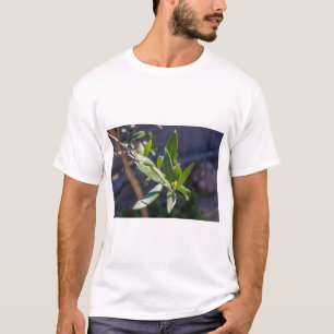 Blätter Olivenbaum T-Shirt
