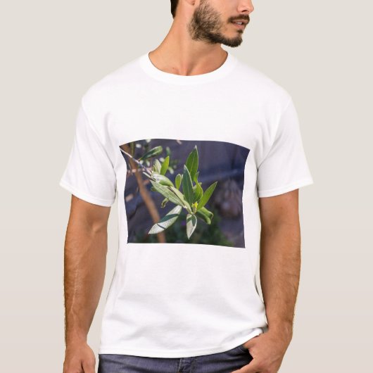 Blätter Olivenbaum T-Shirt (Vorderseite)