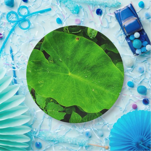 Blätter Pappteller (Party)