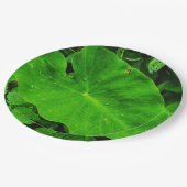 Blätter Pappteller (Schrägansicht)