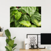 Blätter Poster (Heimbüro)