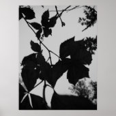 Blätter Poster (Vorne)