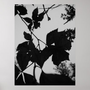 Blätter Poster