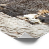 Blätter Poster (Ecke)