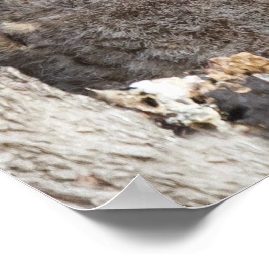 Blätter Poster (Ecke)