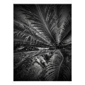 Blätter Poster (Vorderseite)