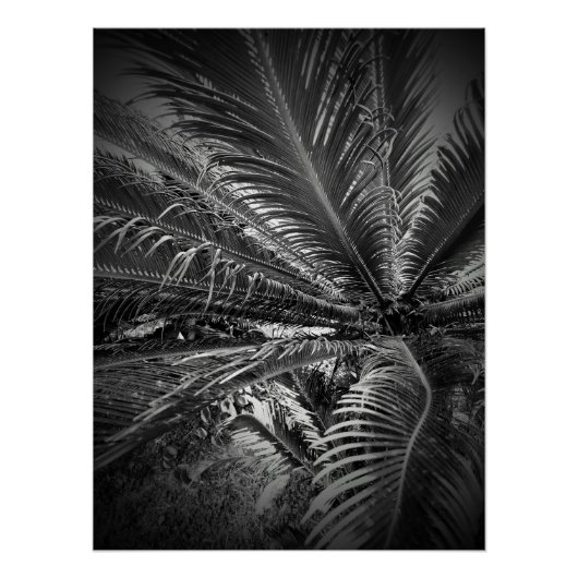 Blätter Poster (Vorderseite)