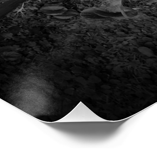 Blätter Poster (Ecke)