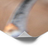 Blätter Poster (Ecke)