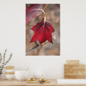 Blätter Poster (Küche)