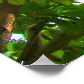 Blätter Poster (Ecke)