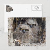 Blätter Postkarte (Vorne/Hinten)