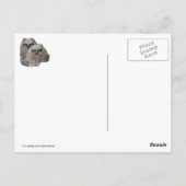 Blätter Postkarte (Rückseite)
